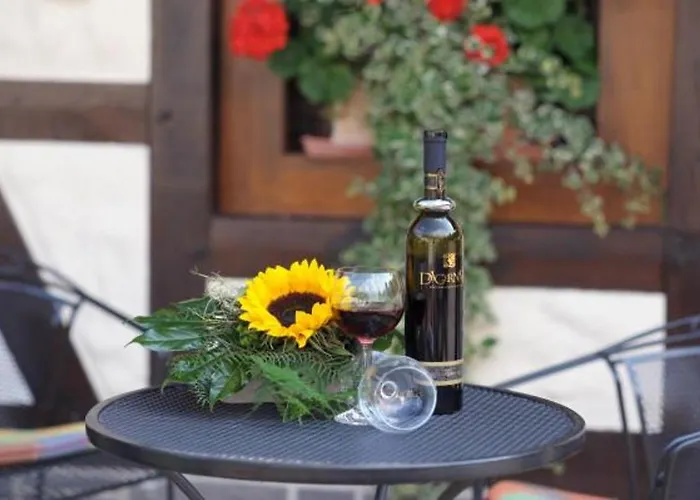 Hotel By Krolik Daun